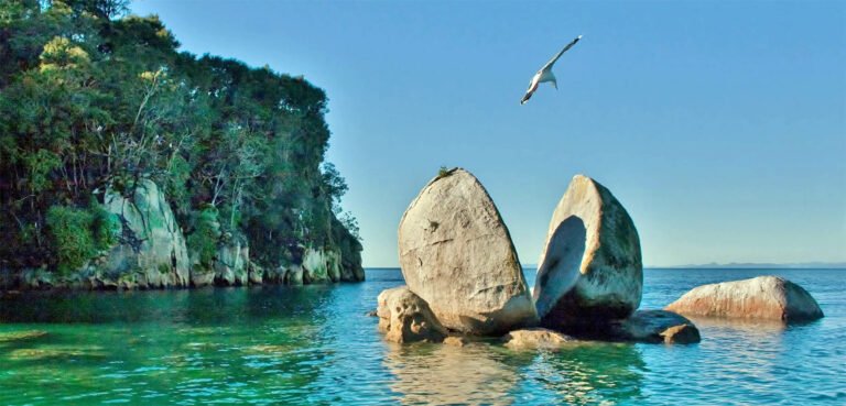 Tour Split Apple Rock NZ 768x369