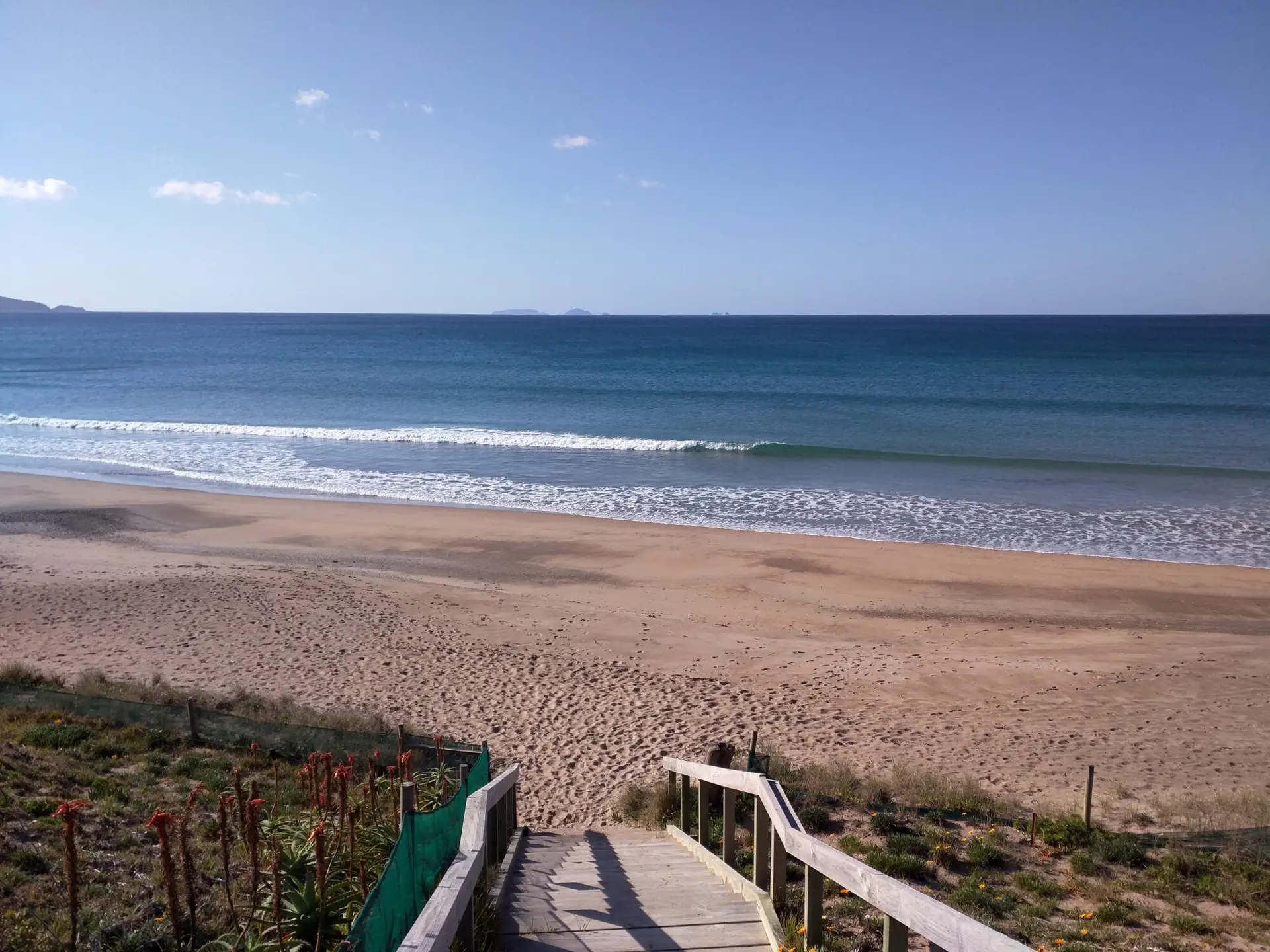 Tutukaka
