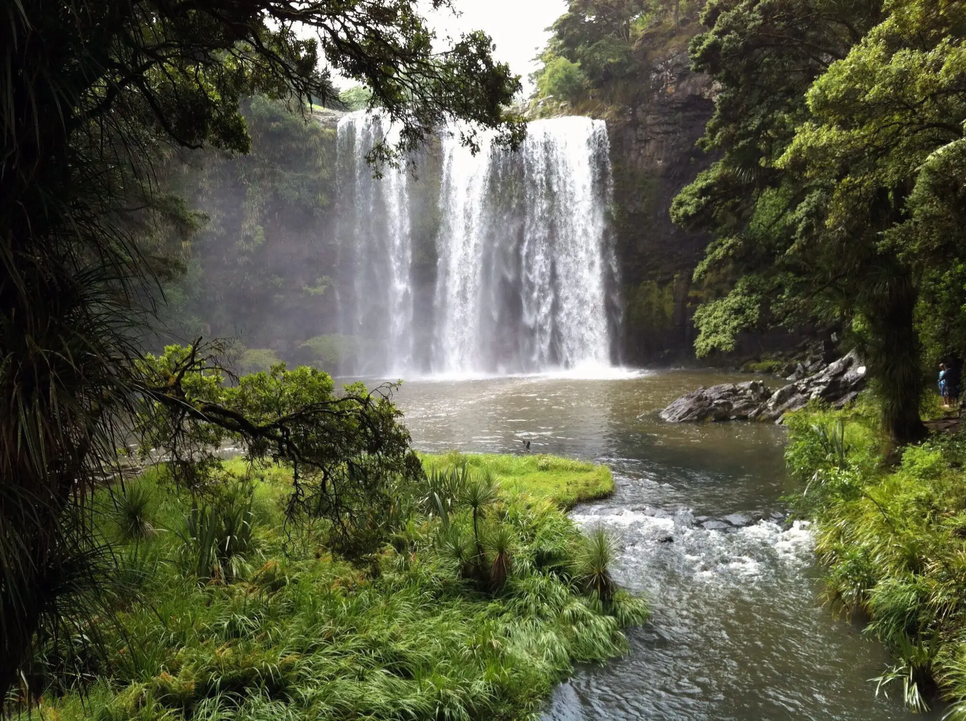 Whangarei Falls