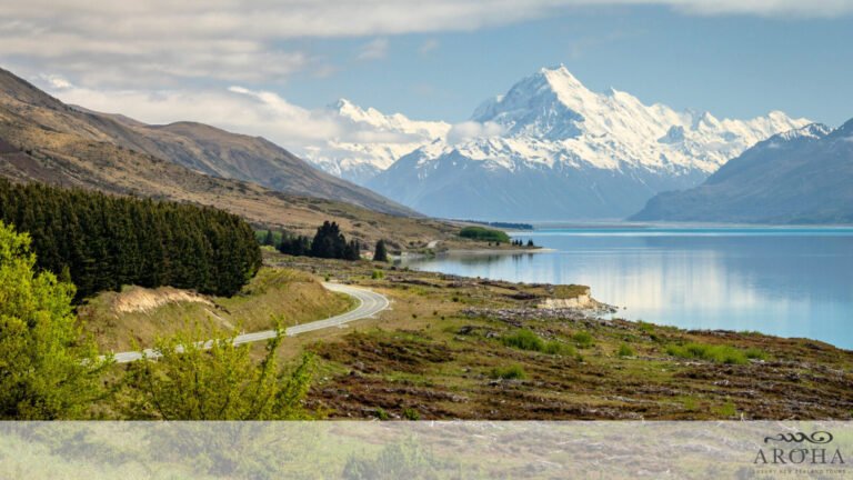escourted luxury nz tour 768x432