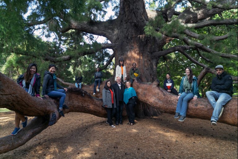 Amiki Tours Christchurch 768x513