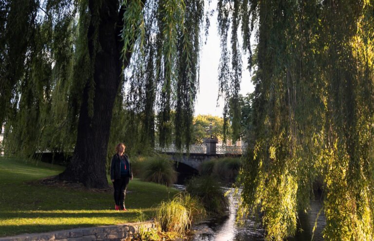 Christchurch Maori tour 768x495