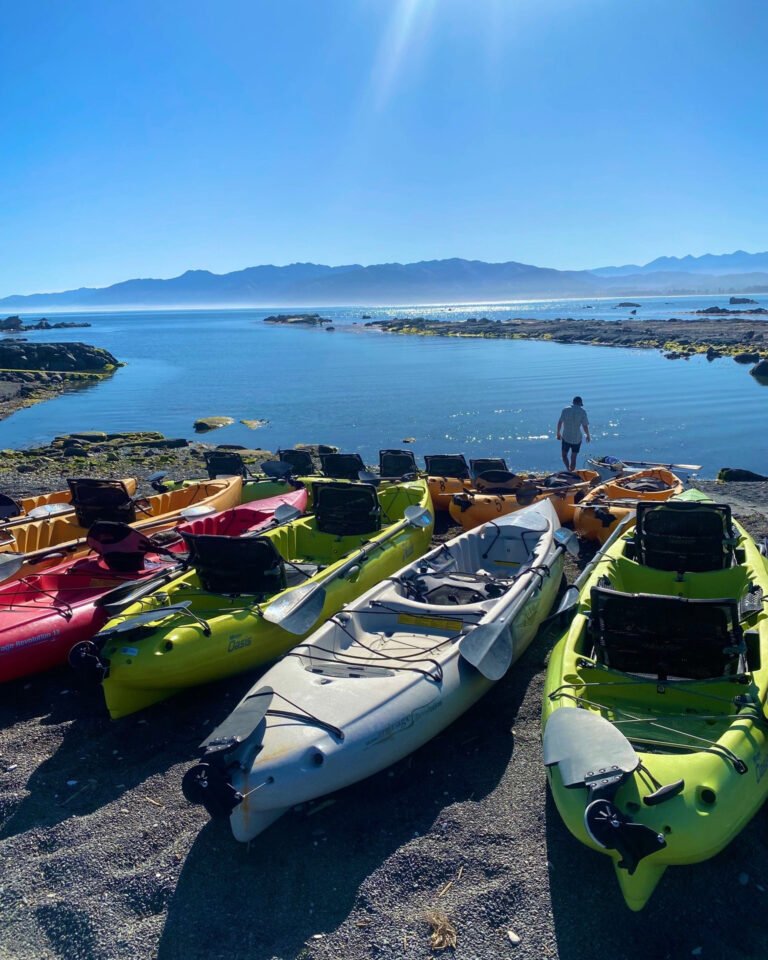 Kayak tour Kaikoura 768x960