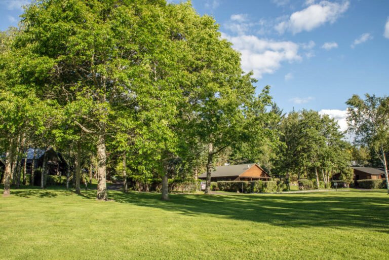 Tongariro Lodge Turangi 768x513