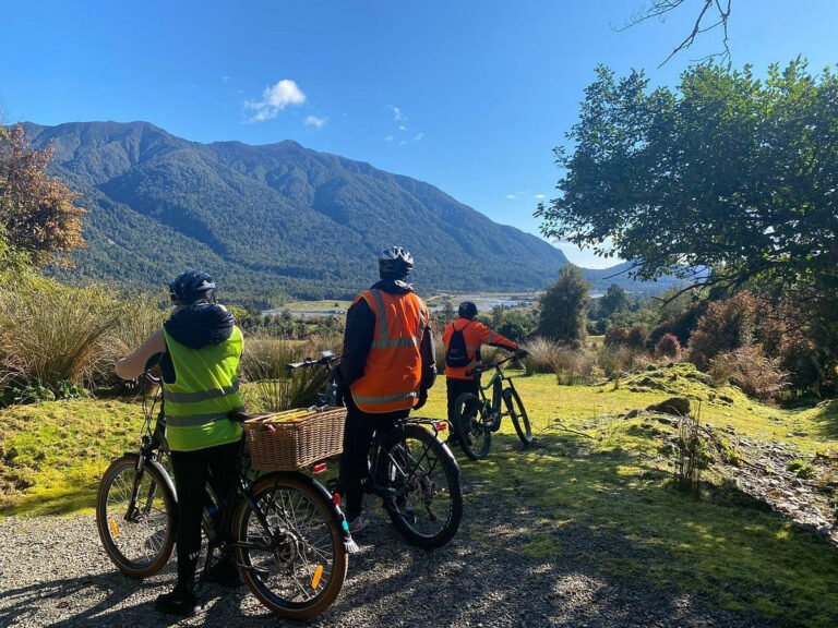 West Coast Cycle Tours 768x576