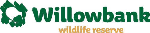 willow bank