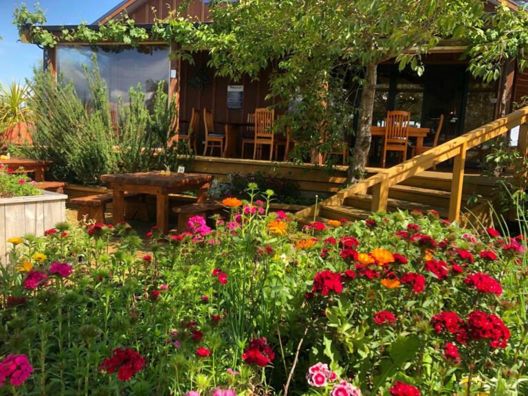 Cambridge blueberry cafe 768x576