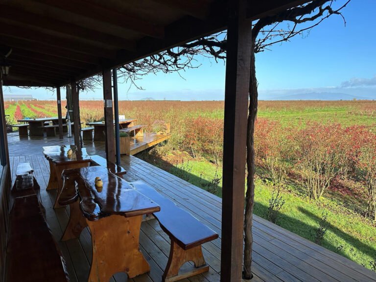 Cambridge orchard cafe 768x576