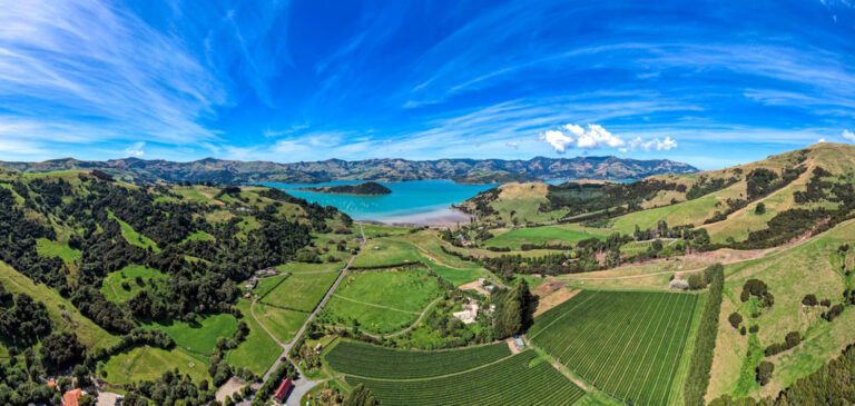 French Peak Vineyard Akaroa 768x365