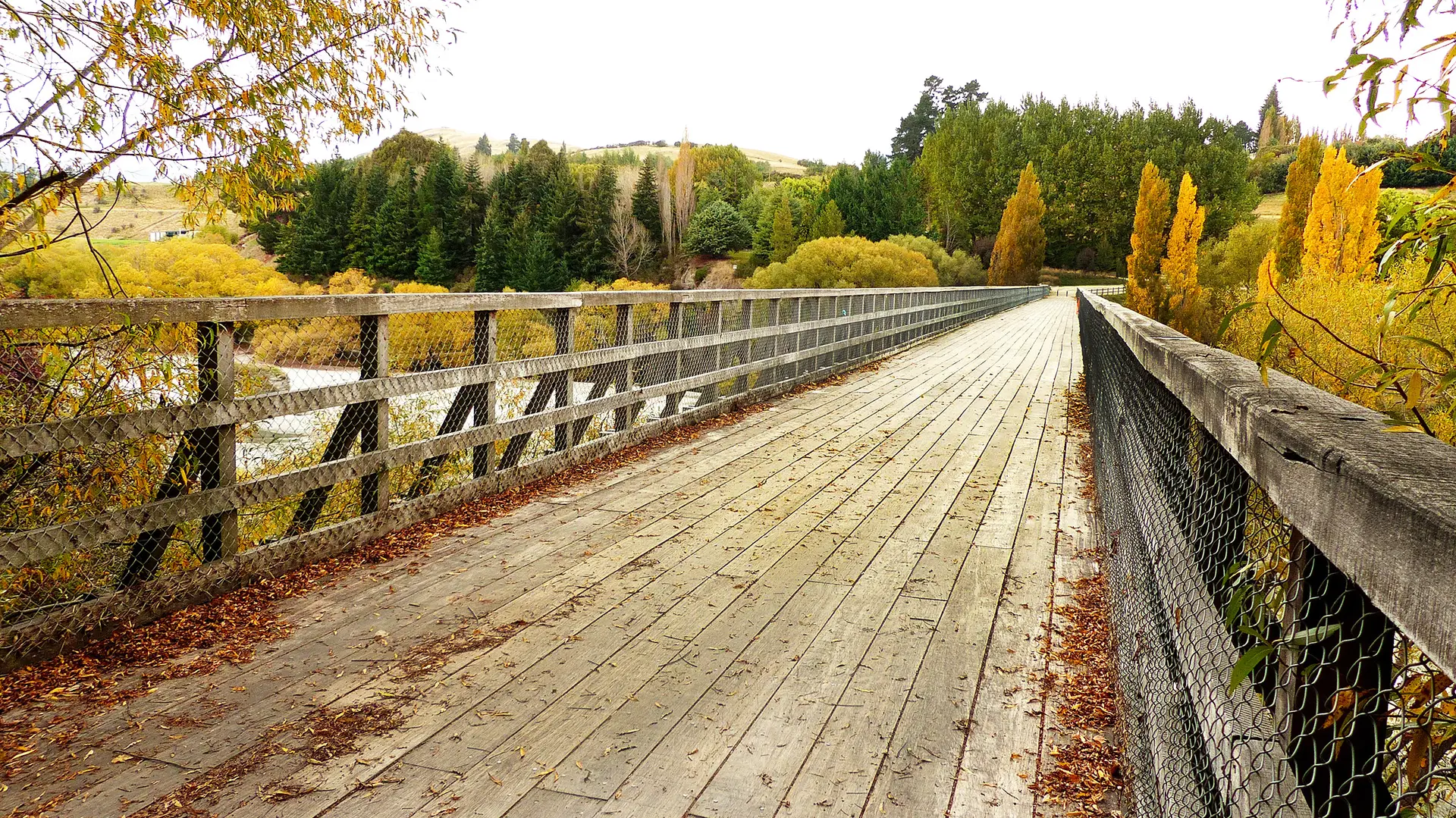 New Zealand Cycling Tours