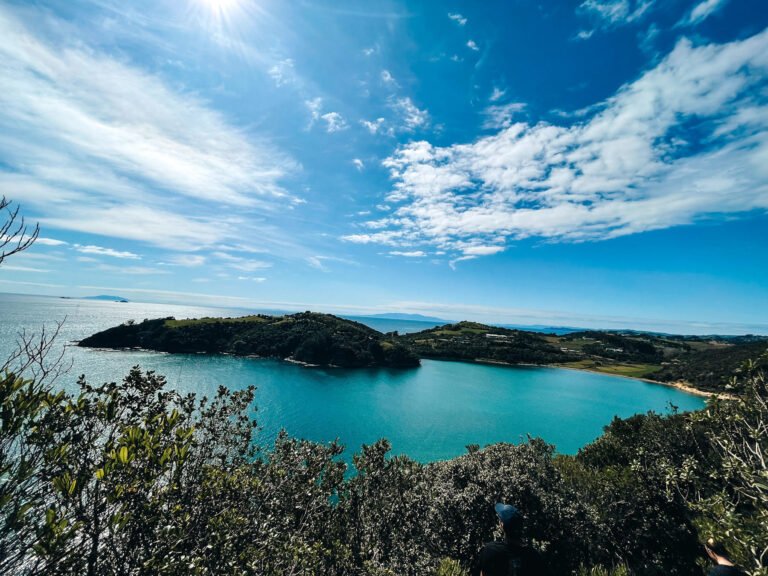 Tour Waiheke Island 768x576