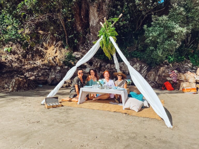Waiheke beach picnic 768x576