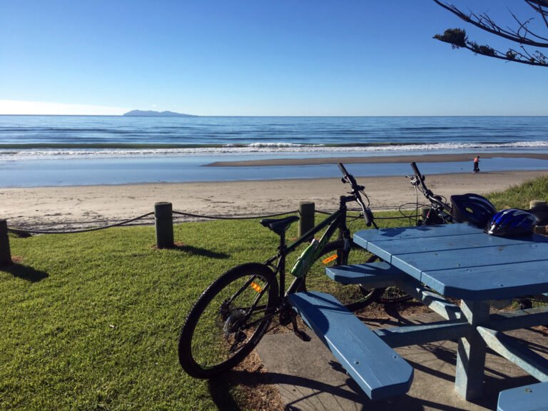 bike rental paeroa 768x576