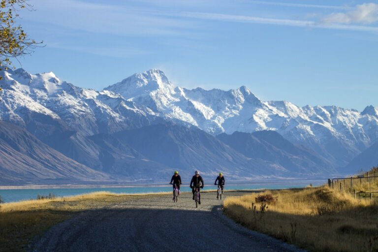 bike tour new zealand 768x512