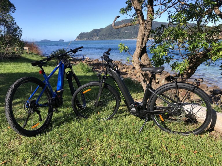 hauraki trail cycle hire 768x576