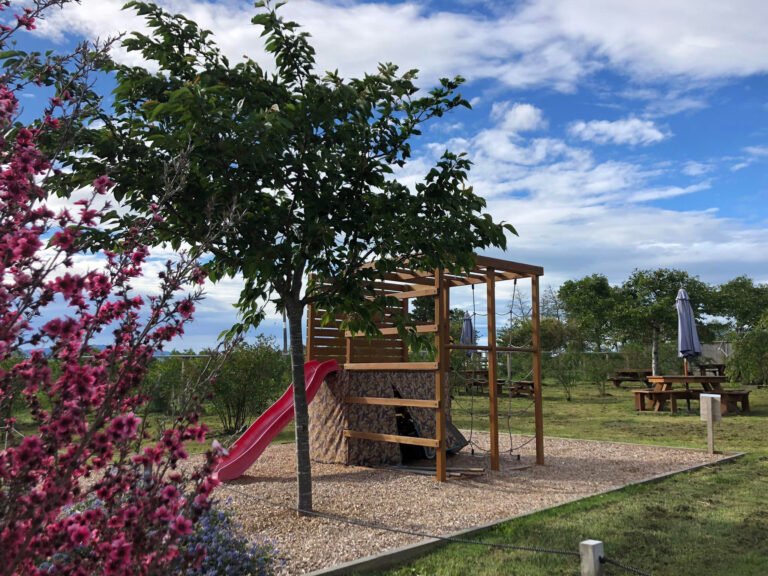 playground cambridge cafe 768x576