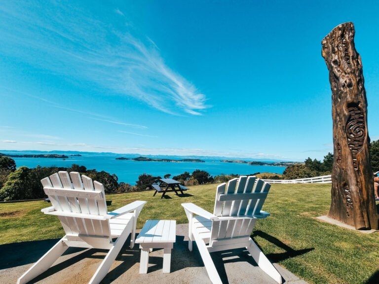 waiheke freedom tours 768x576