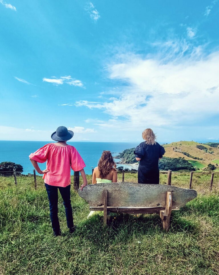 waiheke guided tour 768x965