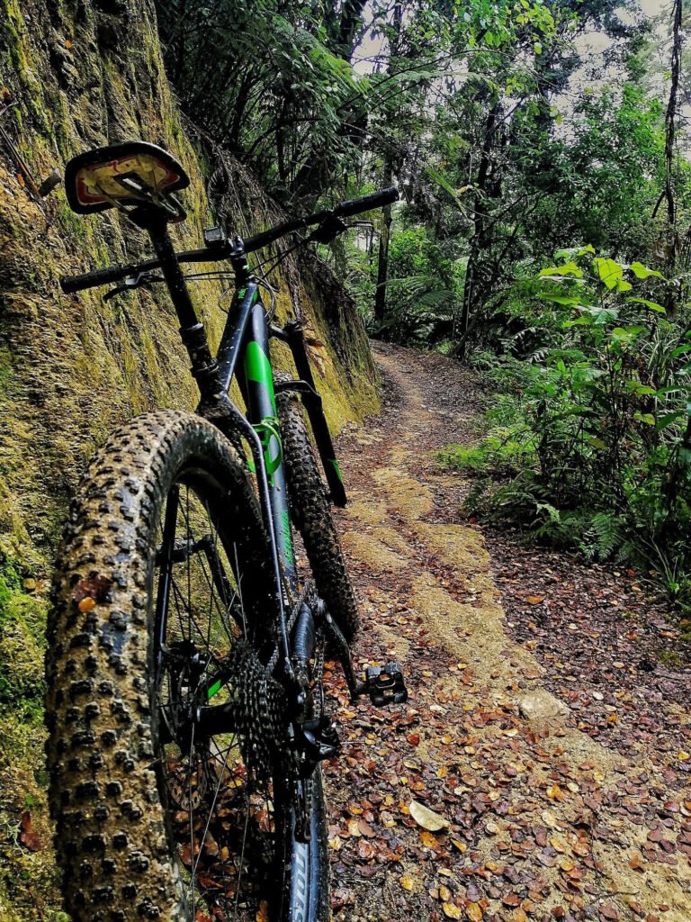waikato mountain bike hire 768x1024