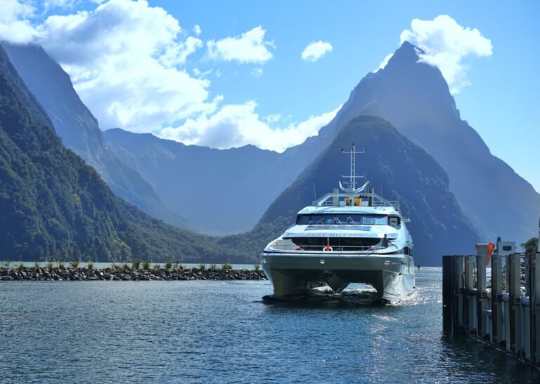 Best Milford Sound tour NZ 768x547