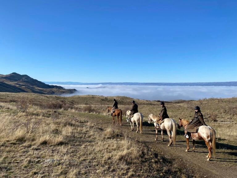 Central Otago Horse Treks 768x576