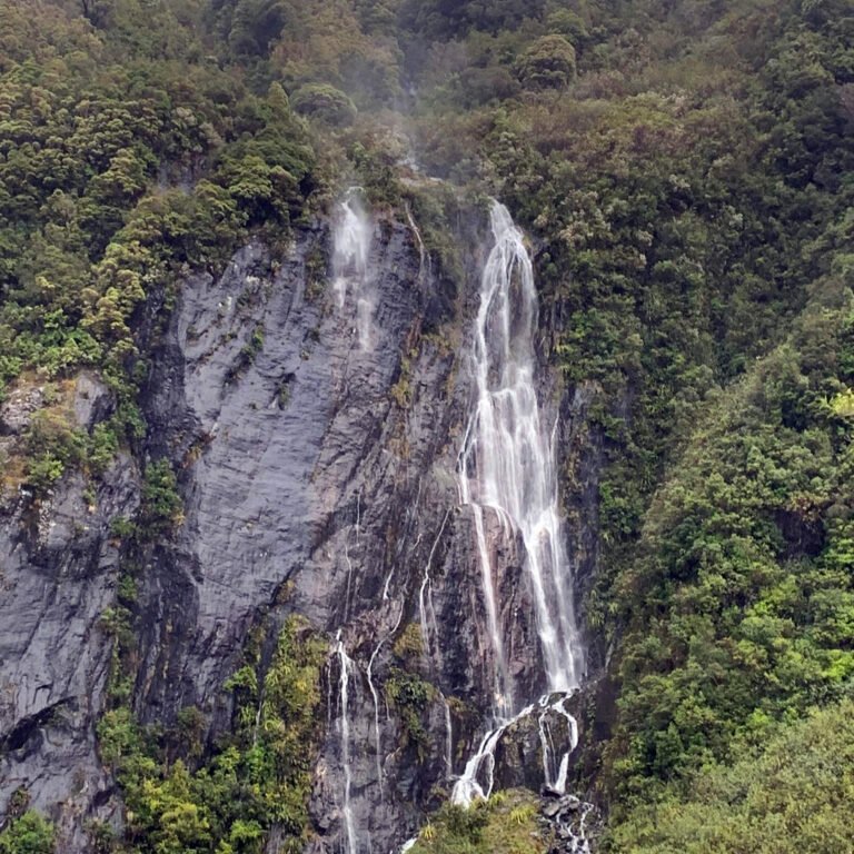 Franz Josef waterfall tour 768x768