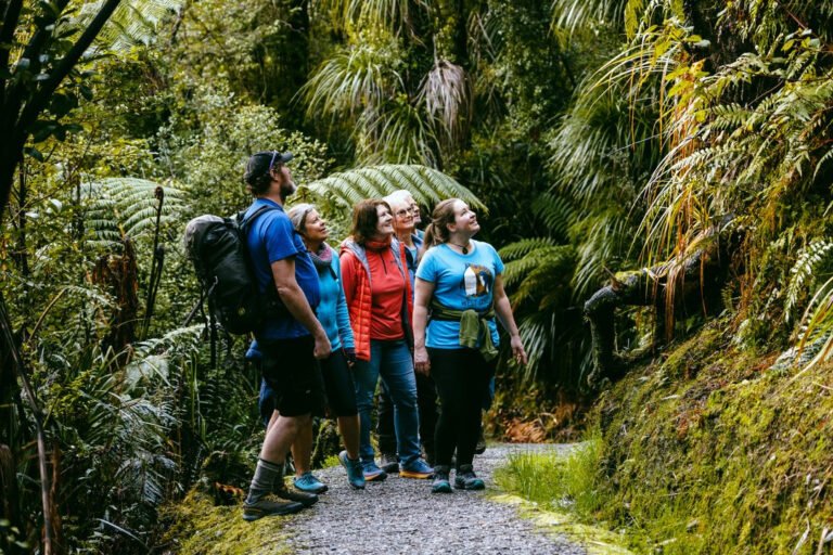 Guided walk Franz Josef Glacier 768x512