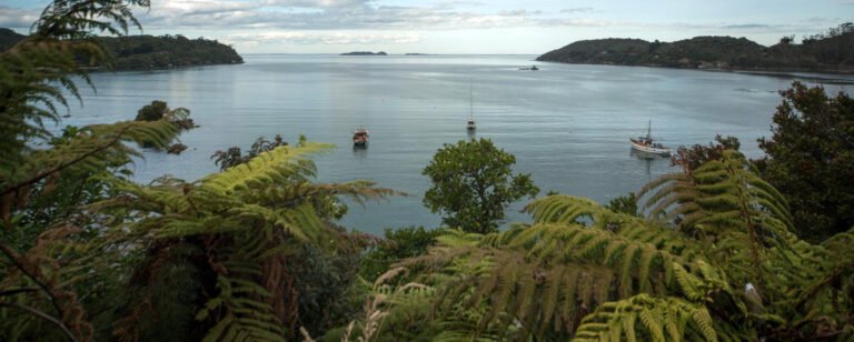 Hotel Oban Stewart Island 768x308