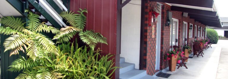 Levin motel accommodation 768x266