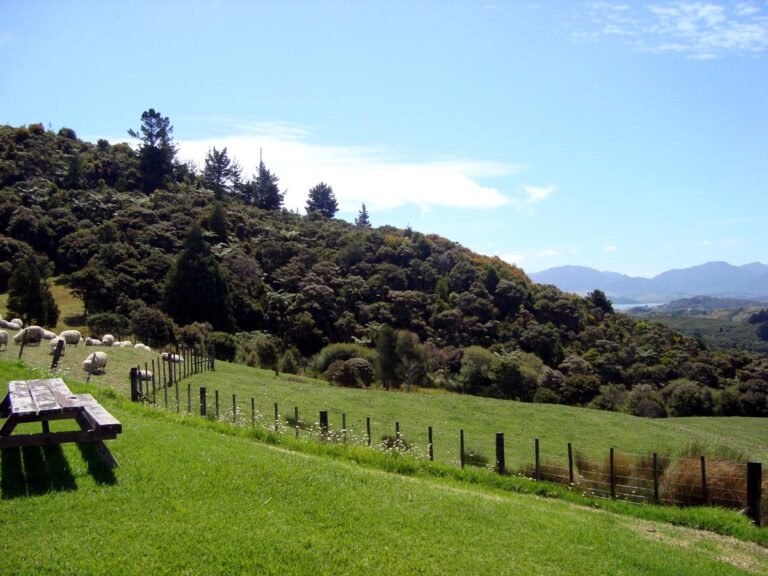 Opononi farmstay 768x576