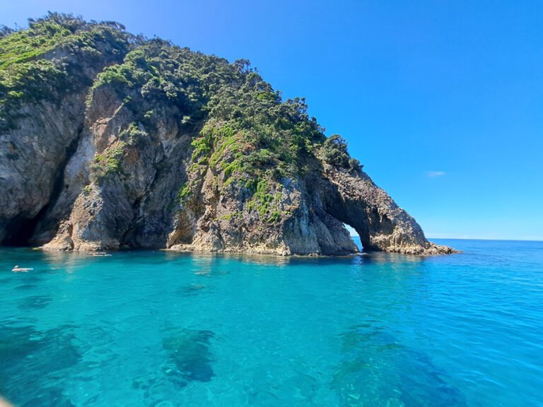 Pauanui water taxi 768x576