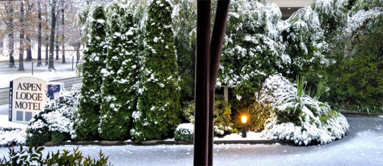 Snow at Hanmer accommodation 768x333