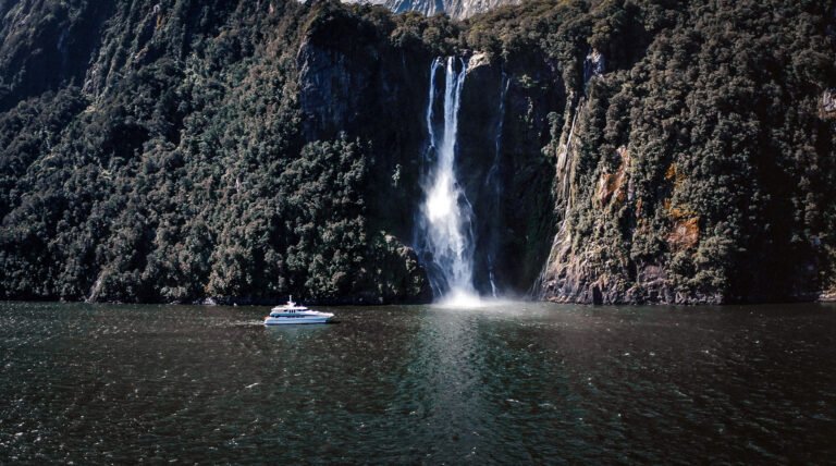 Waterfall tour Milford Sound 768x428