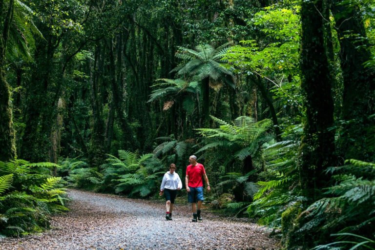 guided walk west coast nz 768x512