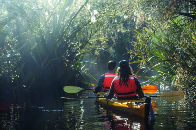 kayak hire Franz Josef 768x512