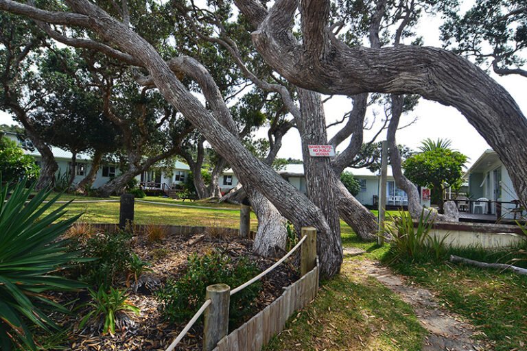 tutukaka beach motel 768x512