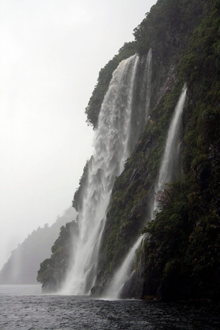 Doubtful Sound boat tour 768x1152