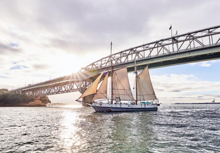 Historic boat tour Auckland 768x533