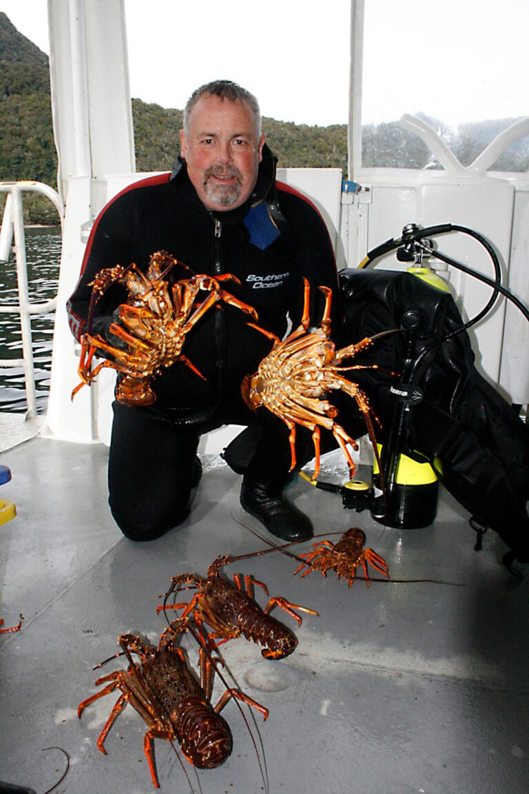 Lobster fishing Fiordland 768x1152