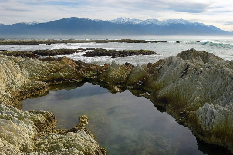 New Zealand guided nature tours 768x512