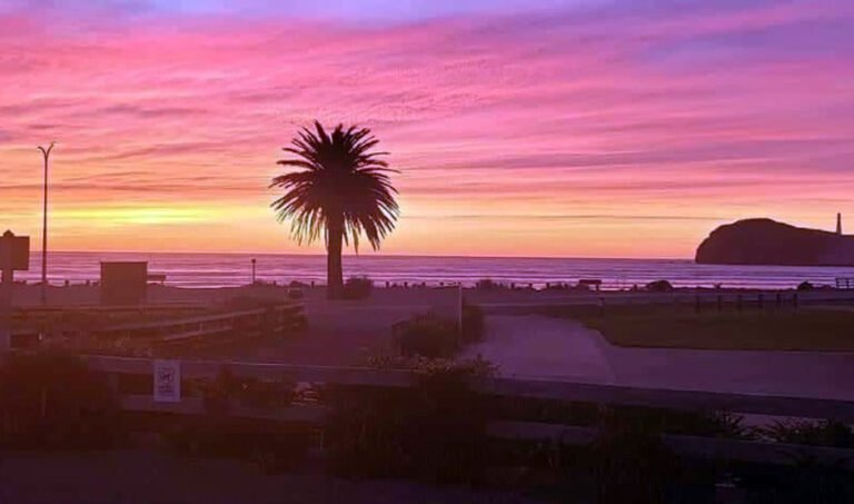 Wairarapa beach accommodation 768x453