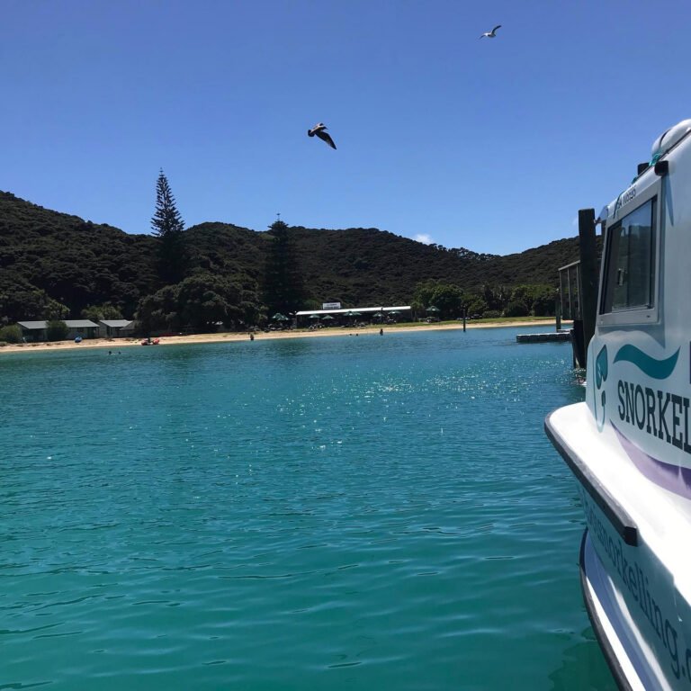 Boat tour Bay of Islands NZ 768x768
