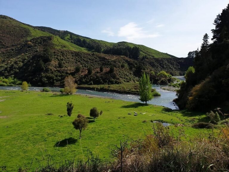 accommodation Mohaka River NZ 768x576