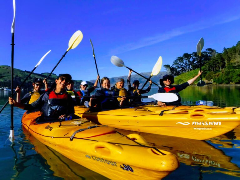 hire kayak akaroa nz 768x576