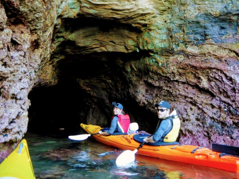 kayak rental akaroa nz 768x576