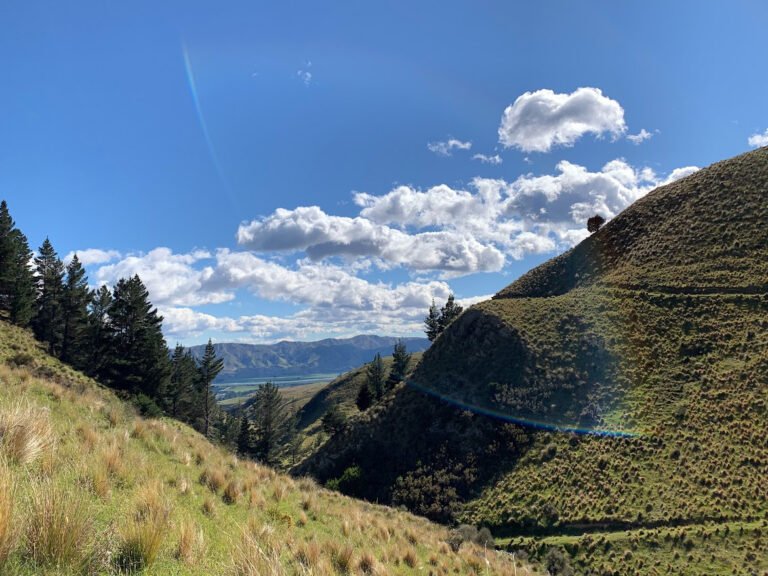 Accommodation Kurow NZ 768x576