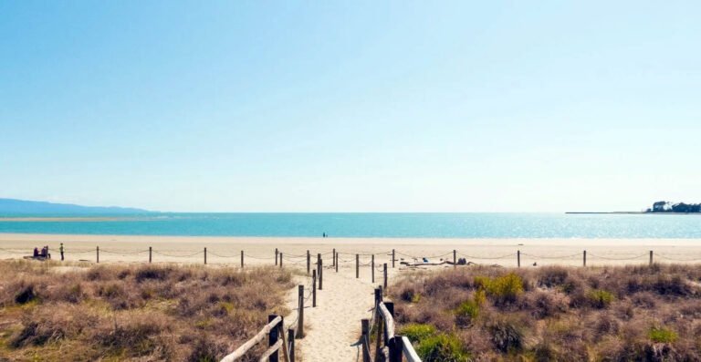 Accommodation Tahunanui Nelson NZ 768x397