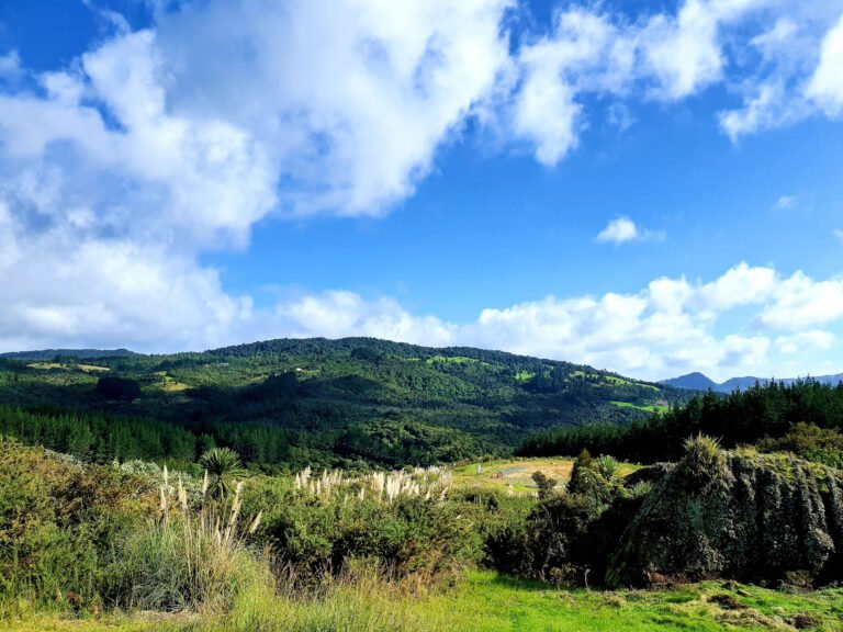 Earth Village Bay of Islands 768x576