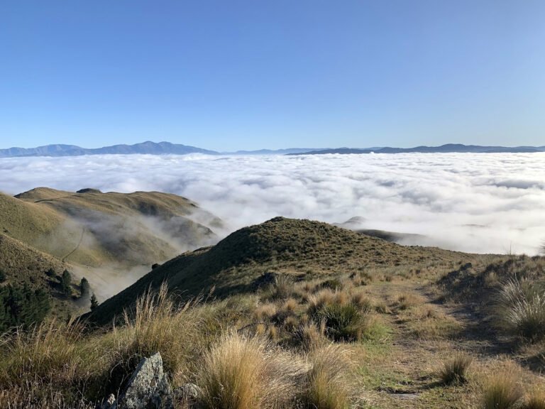 Farmstay Waitaki Valley NZ 768x576