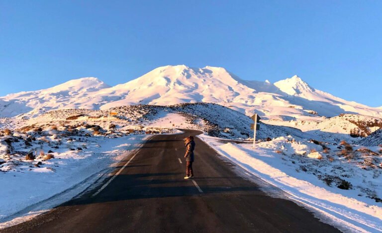 Holiday homes Ohakune 768x469